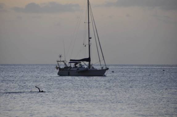 Nadando em Pinney's Beach, na ilha de Nevis